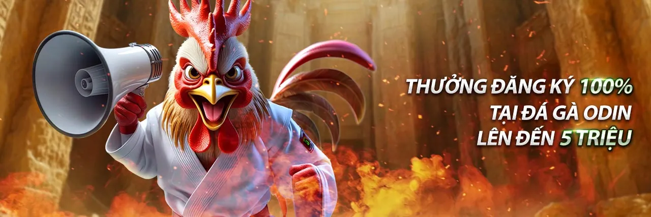 Cá Cược Thể Thao OKWIN8